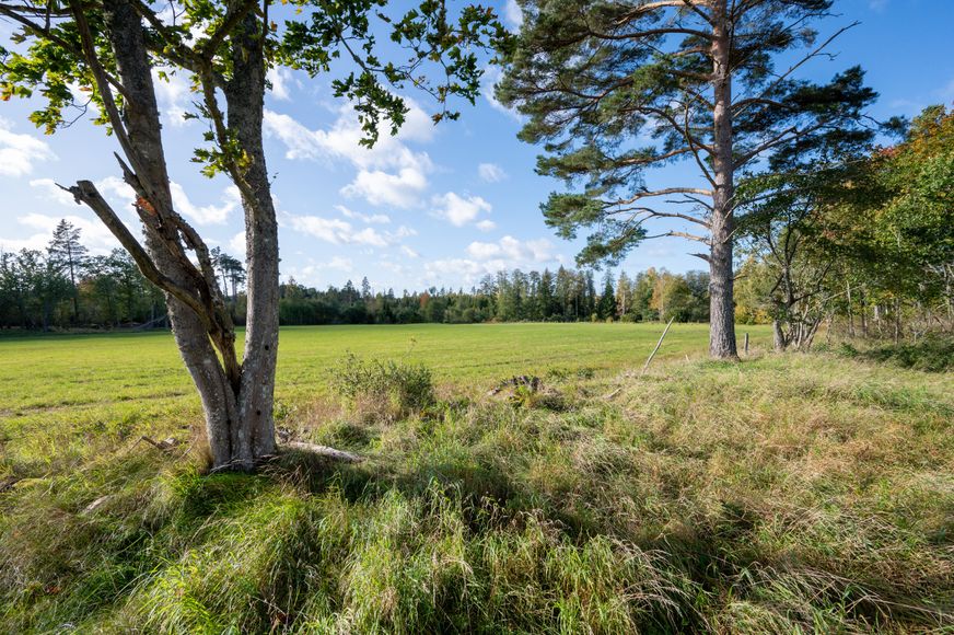 Möjlighet i natursköna Kolbyttemon!